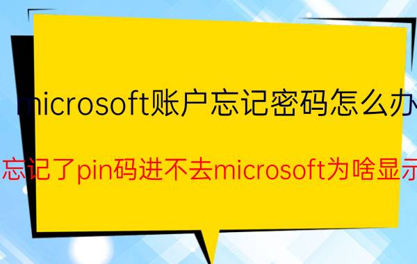 microsoft账户忘记密码怎么办 win11忘记了pin码进不去microsoft为啥显示没网？